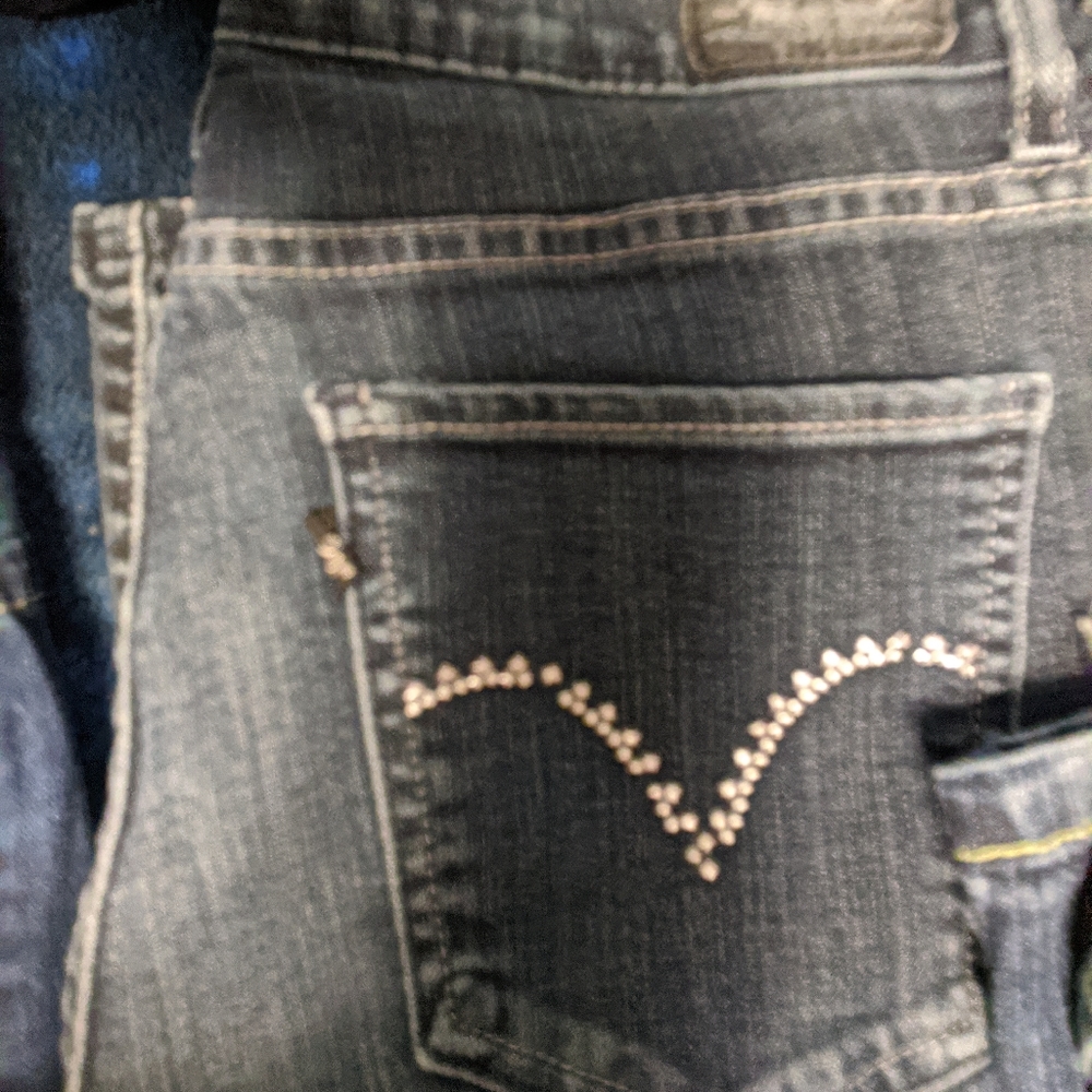 Namebrand Women's Jean lot ( la bling) and vintage